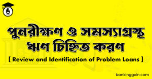 পুনরীক্ষণ ও সমস্যাগ্রস্থ ঋণ চিহ্নিত করণ