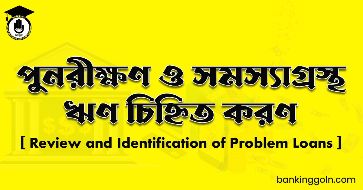 পুনরীক্ষণ ও সমস্যাগ্রস্থ ঋণ চিহ্নিত করণ