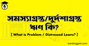 সমস্যাগ্রস্ত/দুর্দশাগ্রস্ত ঋণ কি?