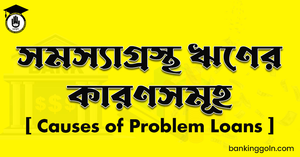 সমস্যাগ্রস্থ ঋণের কারণসমূহ